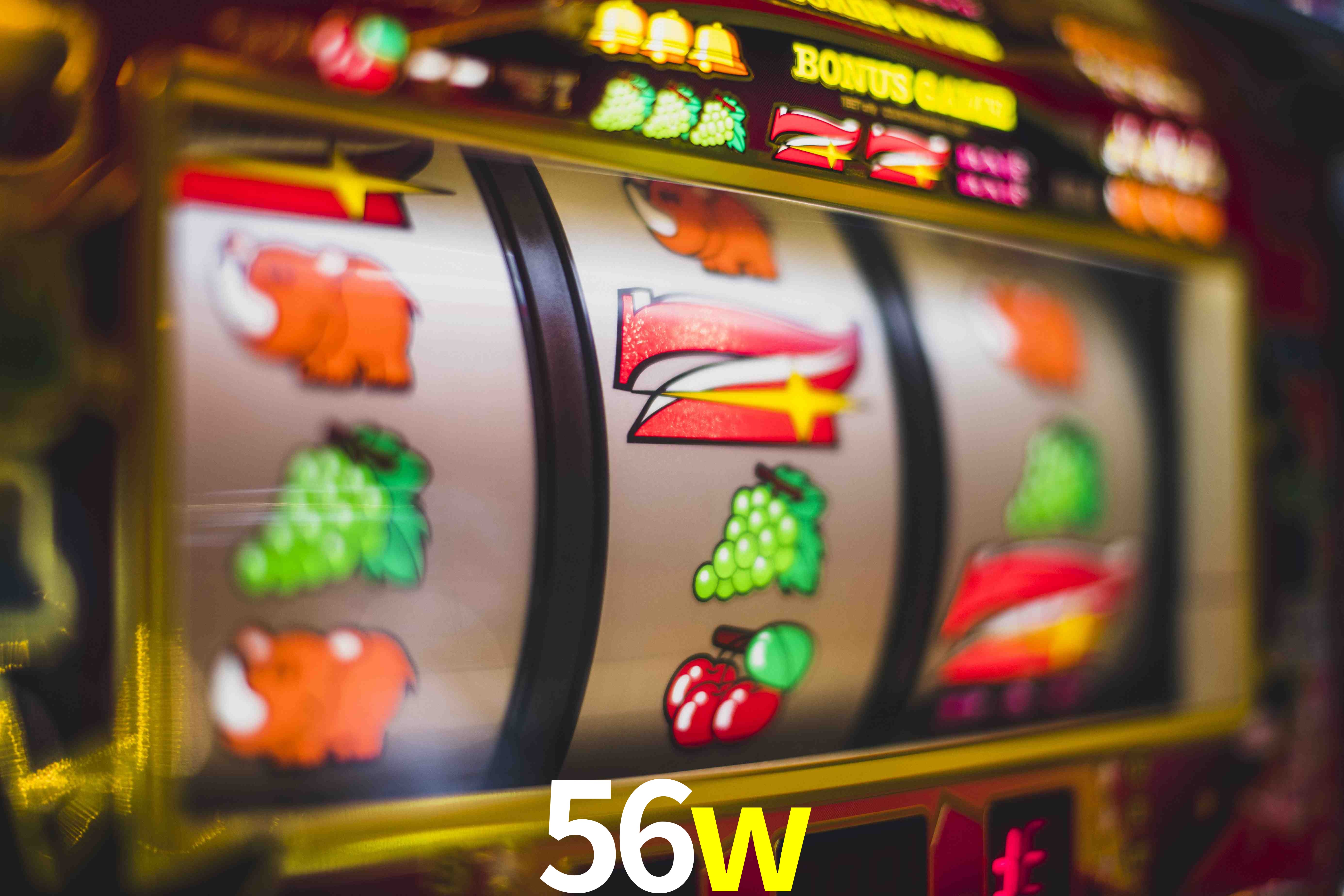 Sports Statistics 56w